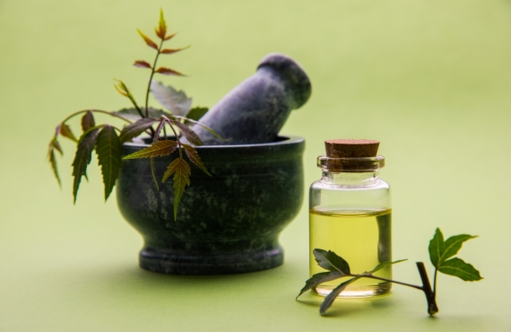 Herbal Remedies for Hair Growth